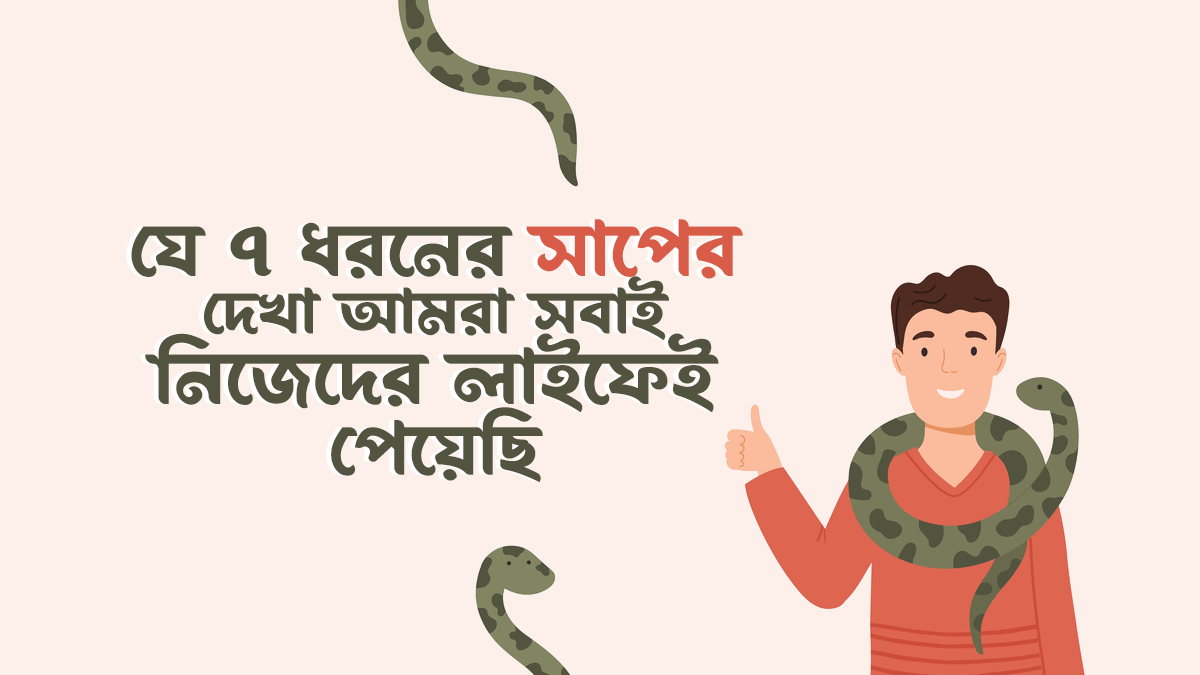 যে ৭ ধরনের সাপের দেখা আমরা সবাই নিজেদের লাইফেই পেয়েছি