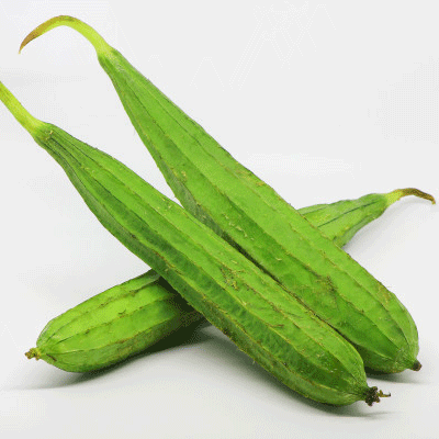 ঝিঙ্গা ঝিঙ্গা