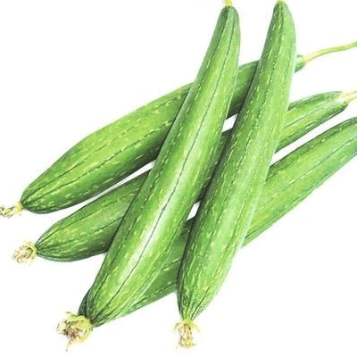 ধুন্দল ধুন্দল
