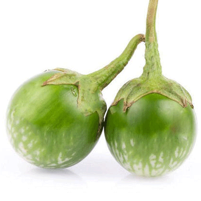 বেগুন বেগুন