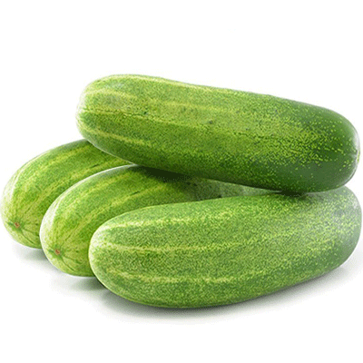 শশা শশা