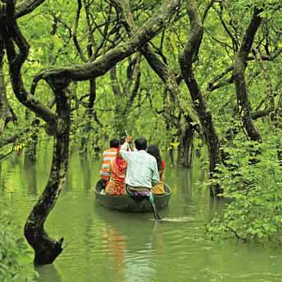 সিলেট