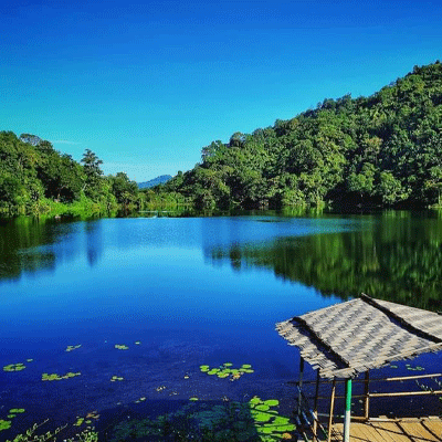 বগালেক