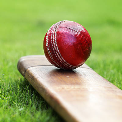 Cricket Cricket