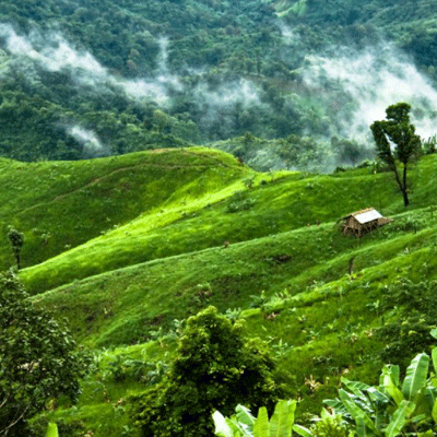 পাহাড়