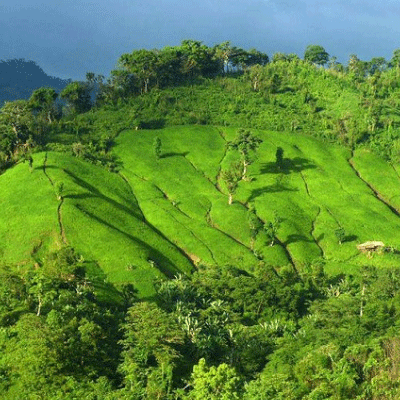 পাহাড়