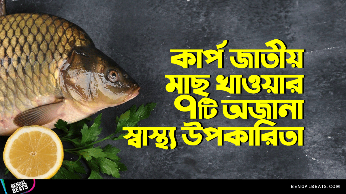 কার্প জাতীয় মাছ খাওয়ার কিছু অজানা উপকারিতা