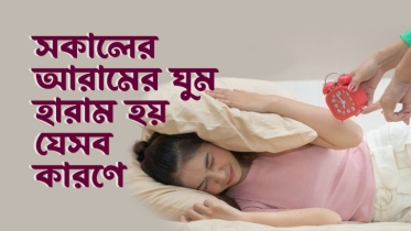 সকালের আরামের ঘুম হারাম হয় যে ৮টি কারণে