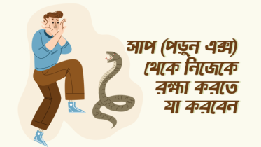 সাপ (পড়ুন এক্স) থেকে নিজেকে রক্ষা করতে যে ৮টি কাজ করা উচিত আপনার
