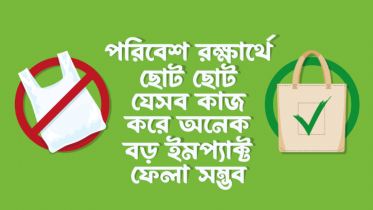 পরিবেশ রক্ষার্থে ছোট ছোট যে ১০টি কাজ করে অনেক বড় ইমপ্যাক্ট ফেলা সম্ভব