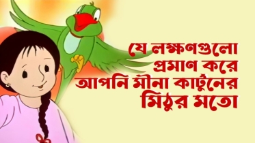 যে ৭টি লক্ষণ প্রমাণ করে আপনি মীনা কার্টুনের মিঠুর মতো