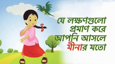 যে ৮টি লক্ষণ প্রমাণ করে আপনি আসলে মীনার মতো