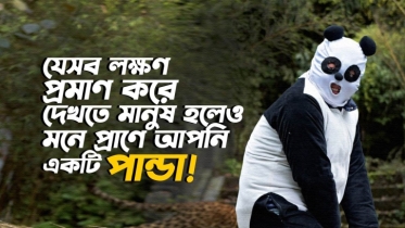 যে ৮টি লক্ষণ প্রমাণ করে দেখতে মানুষ হলেও মনে প্রাণে আপনি একটি পান্ডা