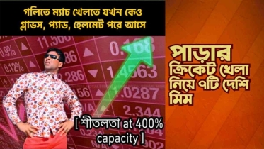 পাড়ার ক্রিকেট খেলা নিয়ে ৭টি দেশি মিম