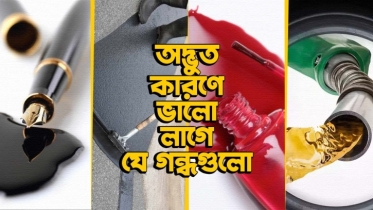 কোন এক অদ্ভুত কারণে যে ১০টি জিনিসের গন্ধ আমাদের ভালোলাগে