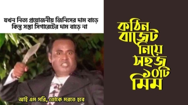 বাজেটের মতো কঠিন বিষয় নিয়ে সহজ ১০টি মিম