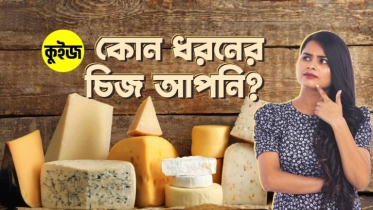 Quiz: খাবারের ব্যাপারে চটজলদি কিছু প্রশ্নের উত্তর দিয়ে জানুন আপনি কোন ধরনের চিজ!