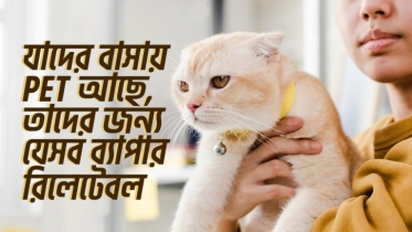 যাদের বাসায় Pet আছে, তাদের জন্য যে ব্যাপারগুলো ভীষণ রিলেটেবল
