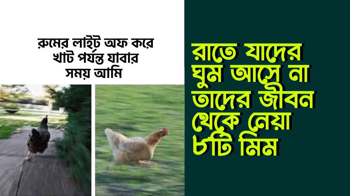 রাতে যাদের ঘুম আসে না তাদের জীবন থেকে নেয়া ৮টি মিম