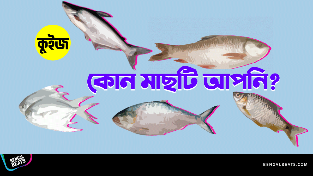 Quiz: ৬টি প্রশ্নের উত্তর দিয়ে জেনে নিন কোন মাছটি আপনি