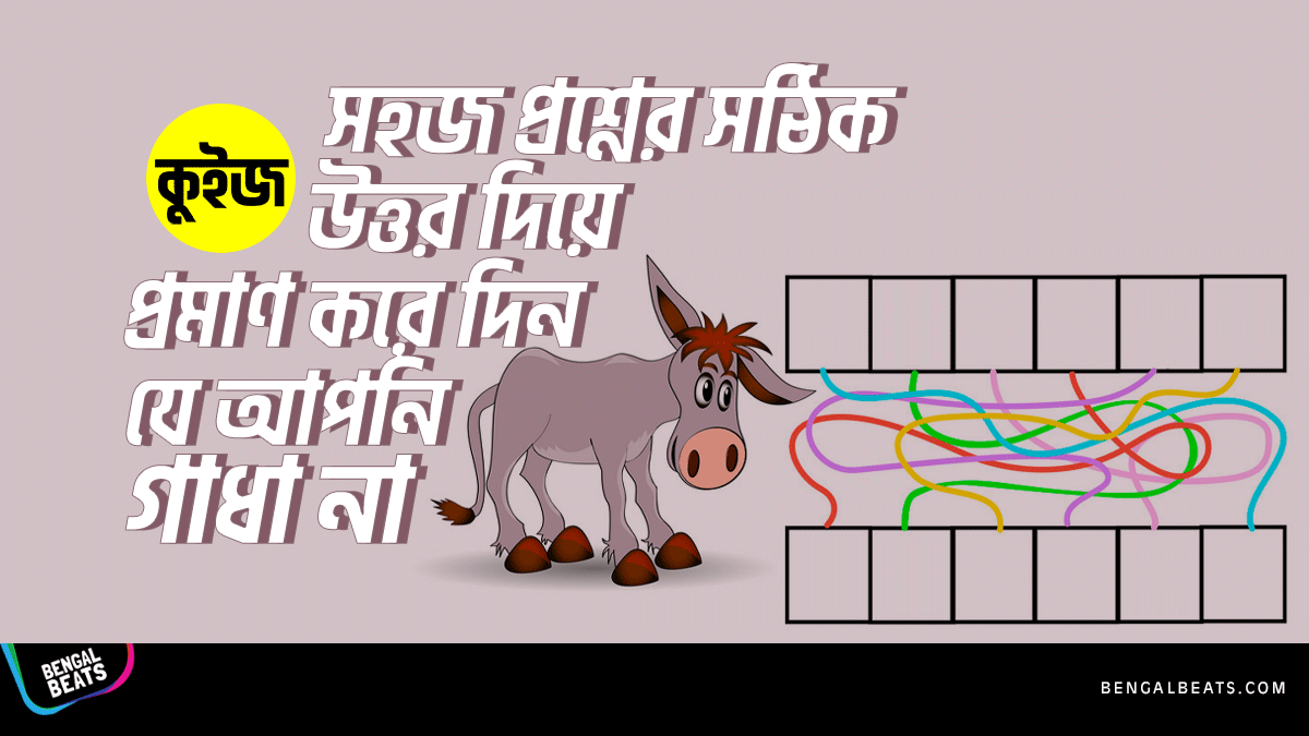 Quiz: সহজ ৭টি প্রশ্নের সঠিক উত্তর দিয়ে প্রমান করে দিন যে আপনি গাধা না Quiz: সহজ ৭টি প্রশ্নের সঠিক উত্তর দিয়ে প্রমান করে দিন যে আপনি গাধা না