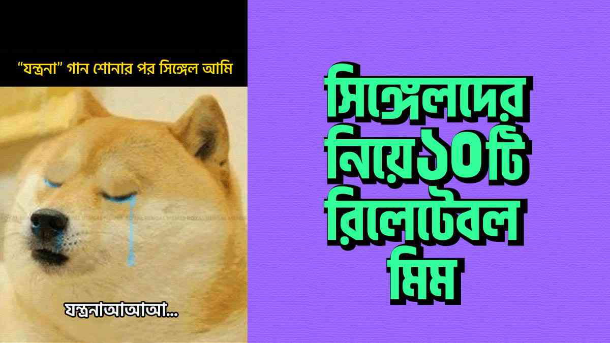 রিলেশনশিপ স্ট্যাটাস সিঙ্গেল? তবে এই ১০টি মিম শুধু আপনিই রিলেট করতে পারবেন