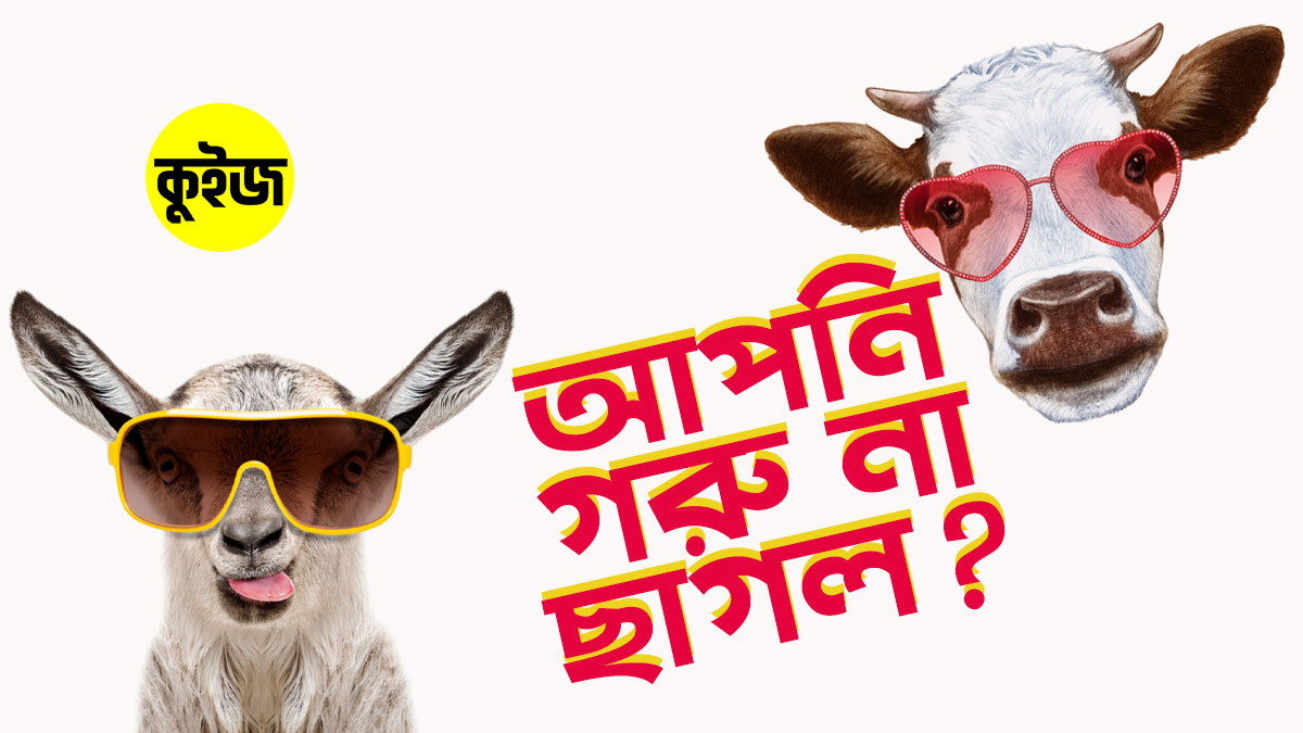 Quiz: মাত্র ৬টি প্রশ্নের উত্তর দিয়ে জেনে নিন আপনি গরু না ছাগল!